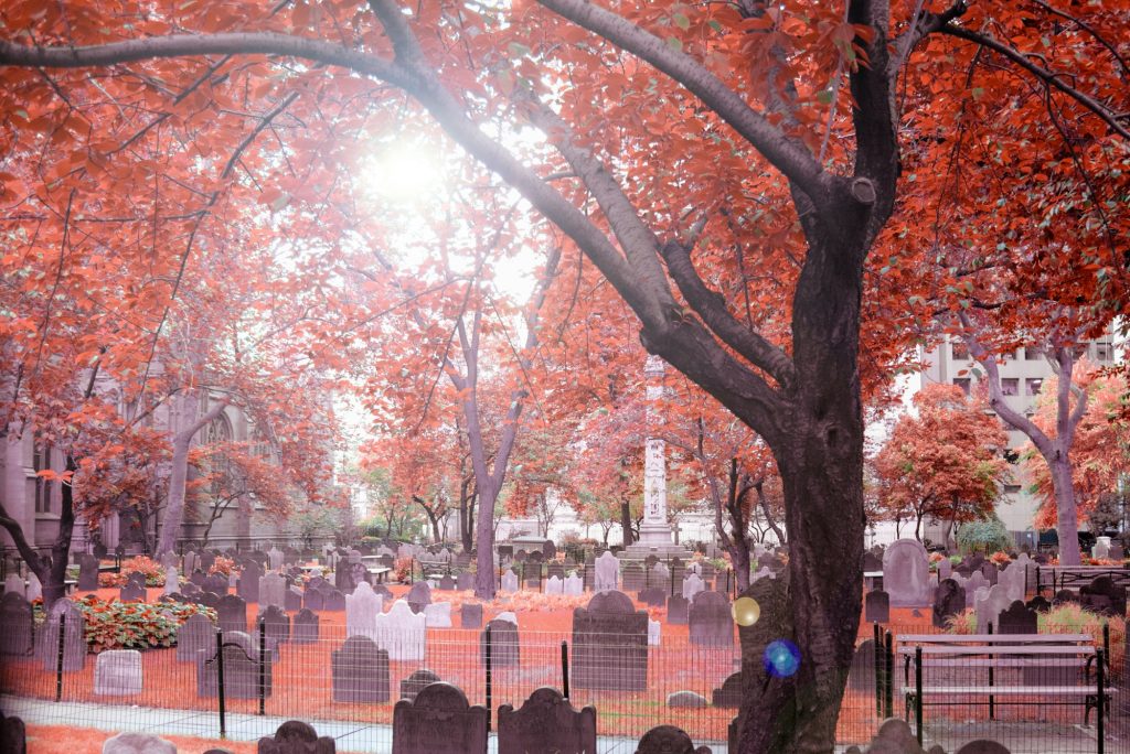 Autumn Cemetery in lower Manhattan